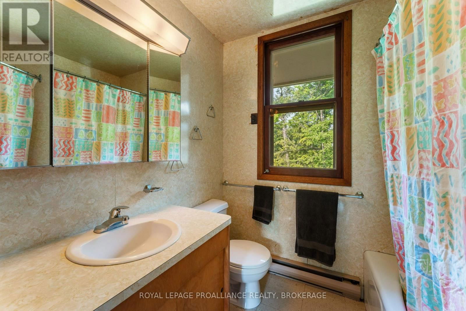 4627 CARRYING PLACE ROAD Image 12