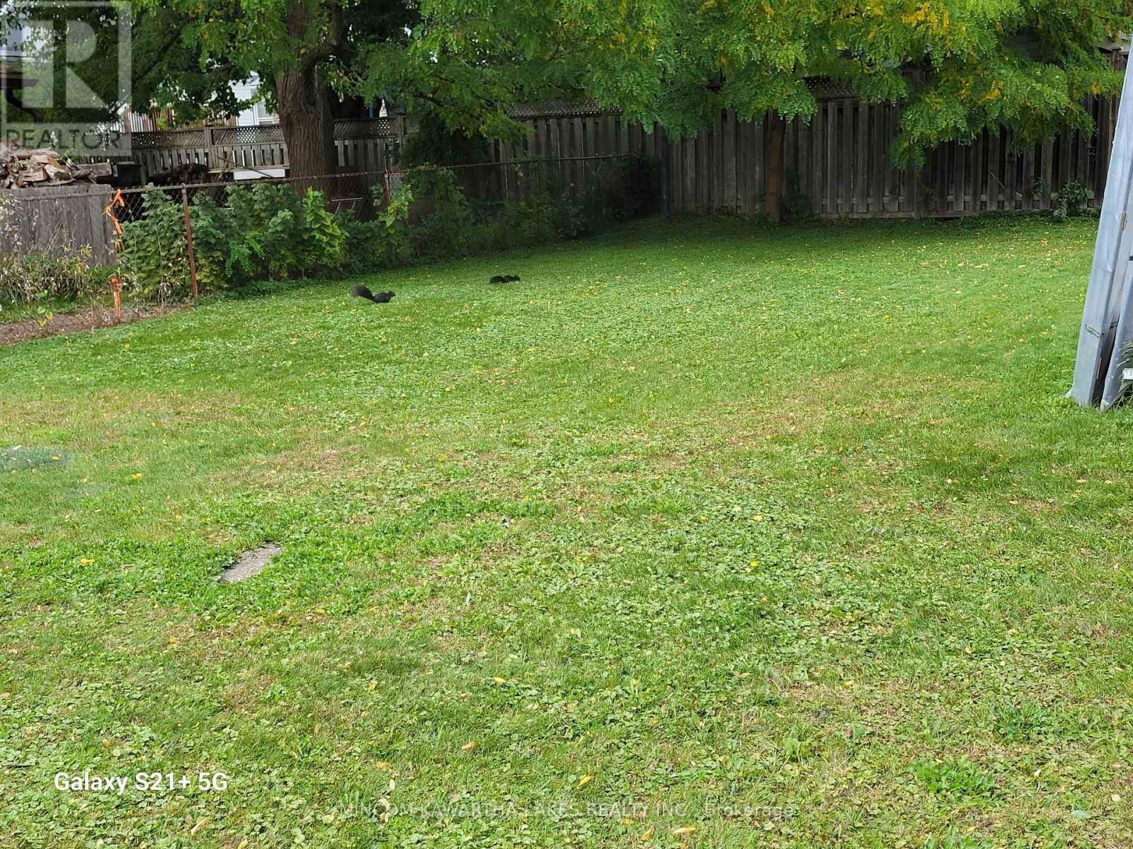 00 WESTERN AVENUE Image 1
