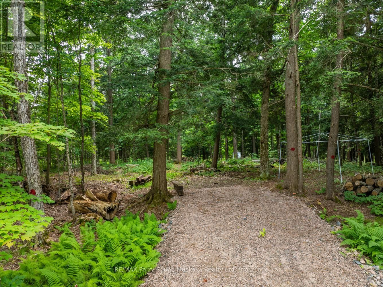 131 MOONWING ROAD Image 21