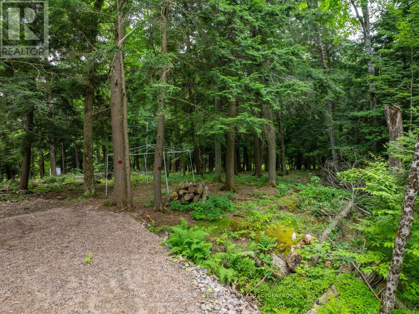 131 MOONWING ROAD Image 22