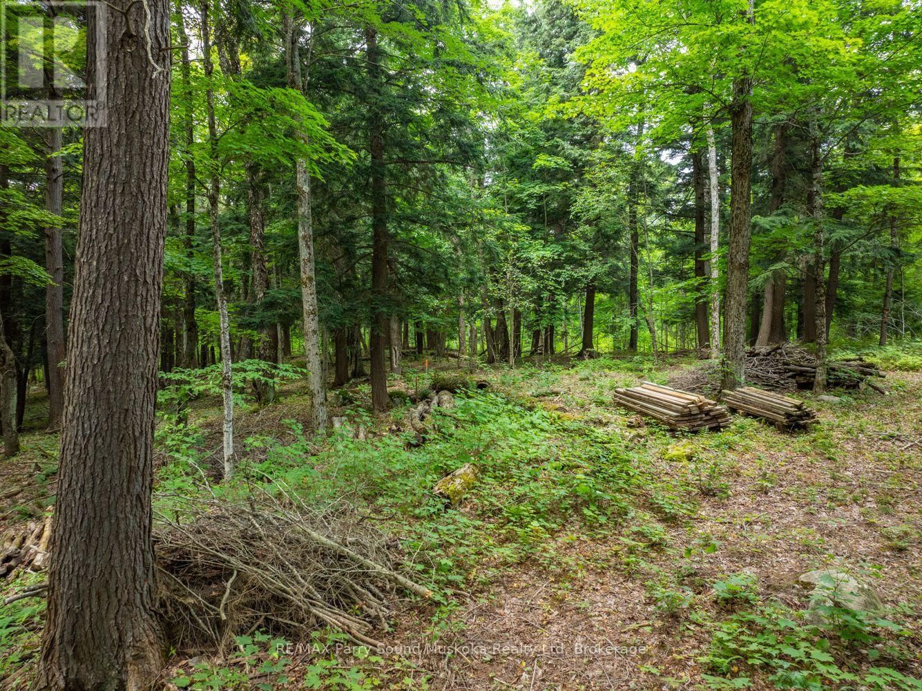 131 MOONWING ROAD Image 26