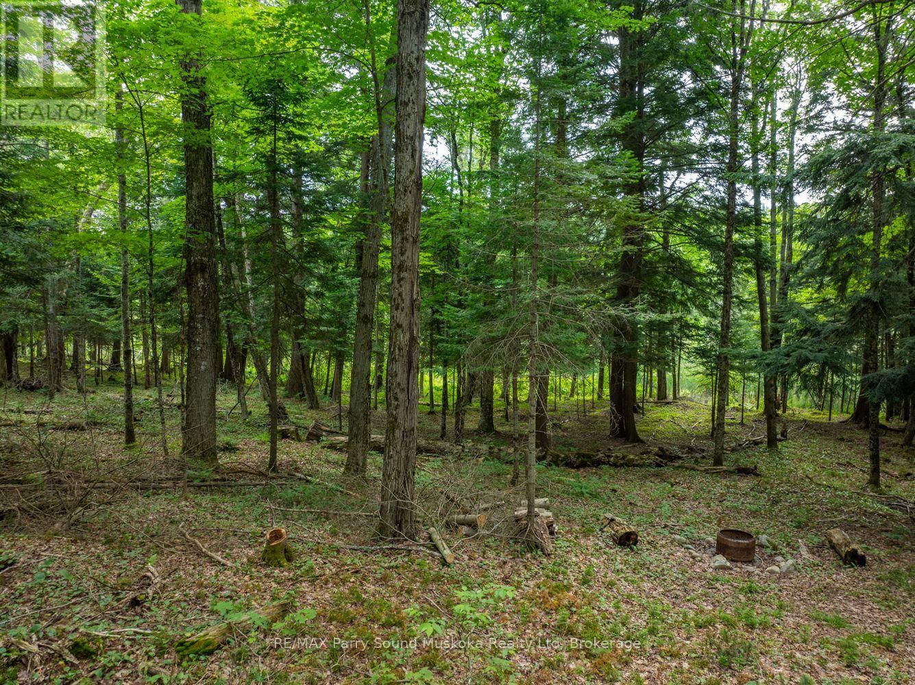 131 MOONWING ROAD Image 27