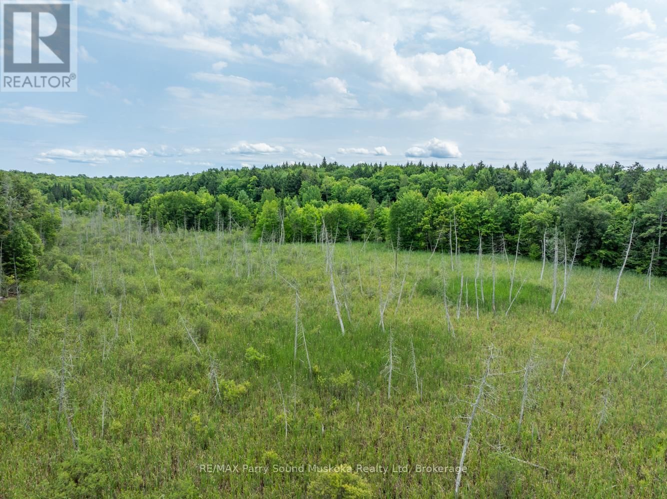 131 MOONWING ROAD Image 35