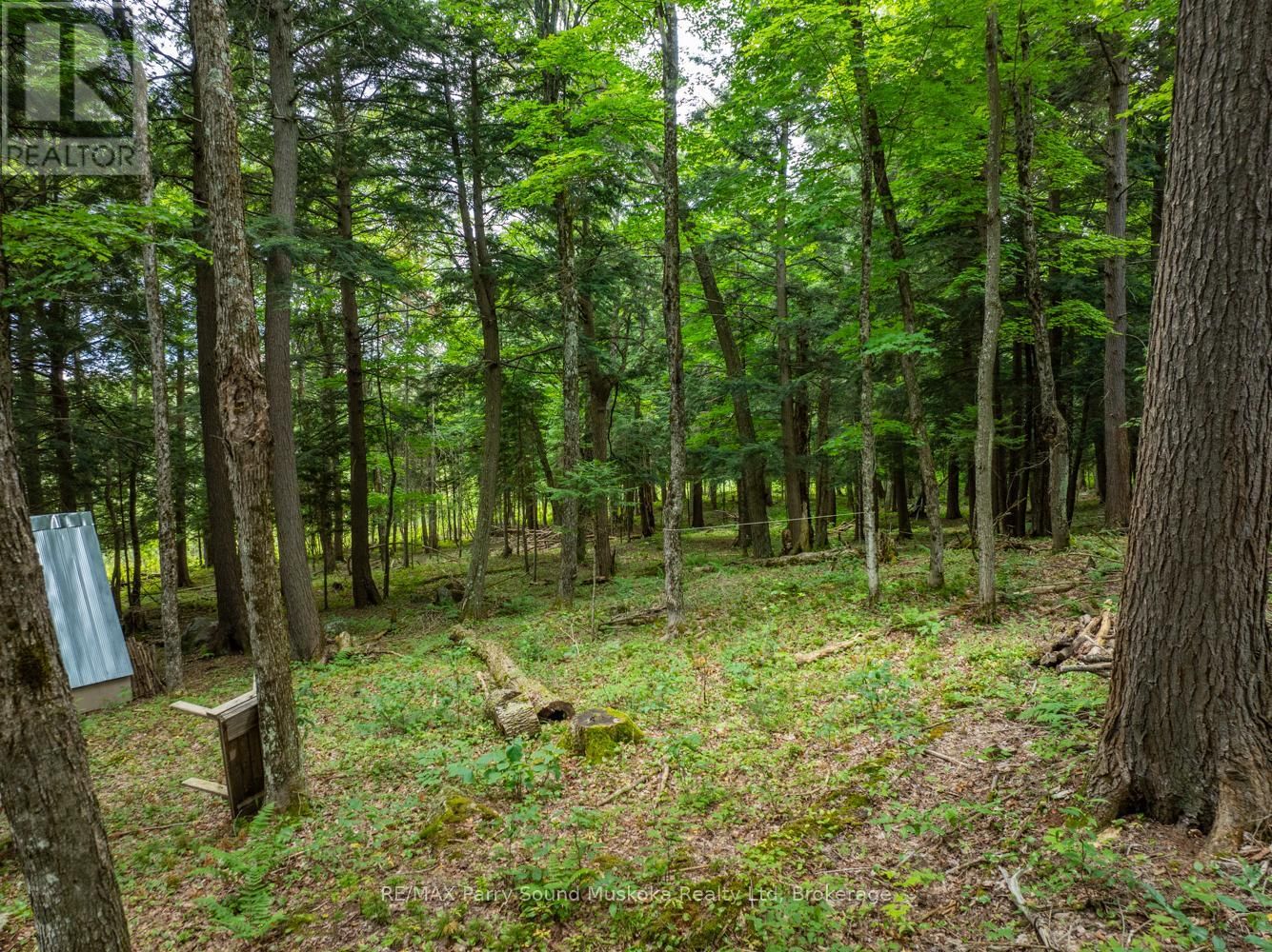 131 MOONWING ROAD Image 4