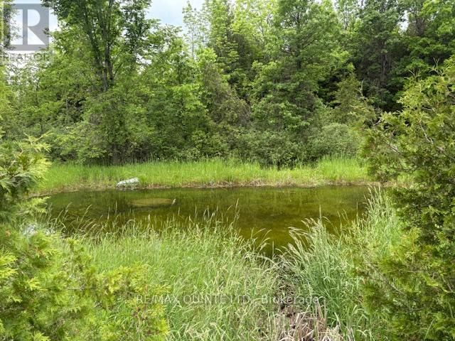 1403B CROOKSTON ROAD Image 44