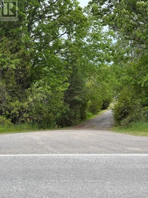 1403B CROOKSTON ROAD Image 5