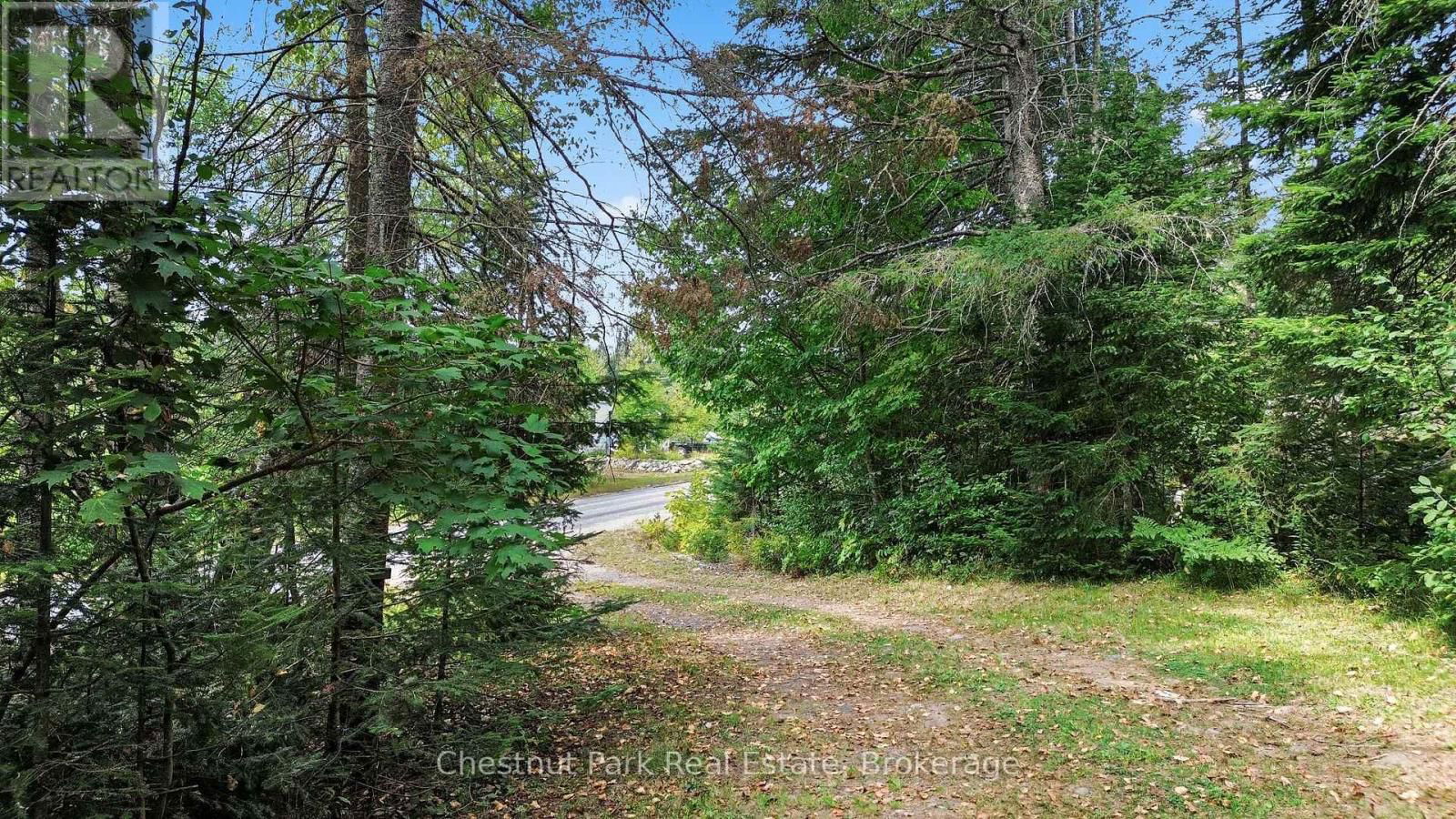 580 ECHO RIDGE ROAD Image 4