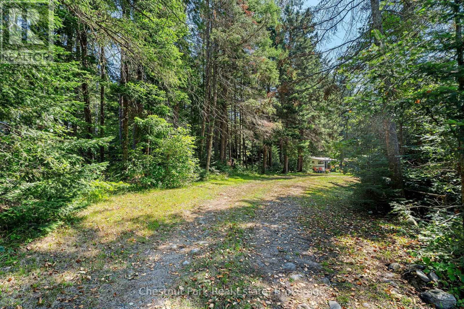 580 ECHO RIDGE ROAD Image 40