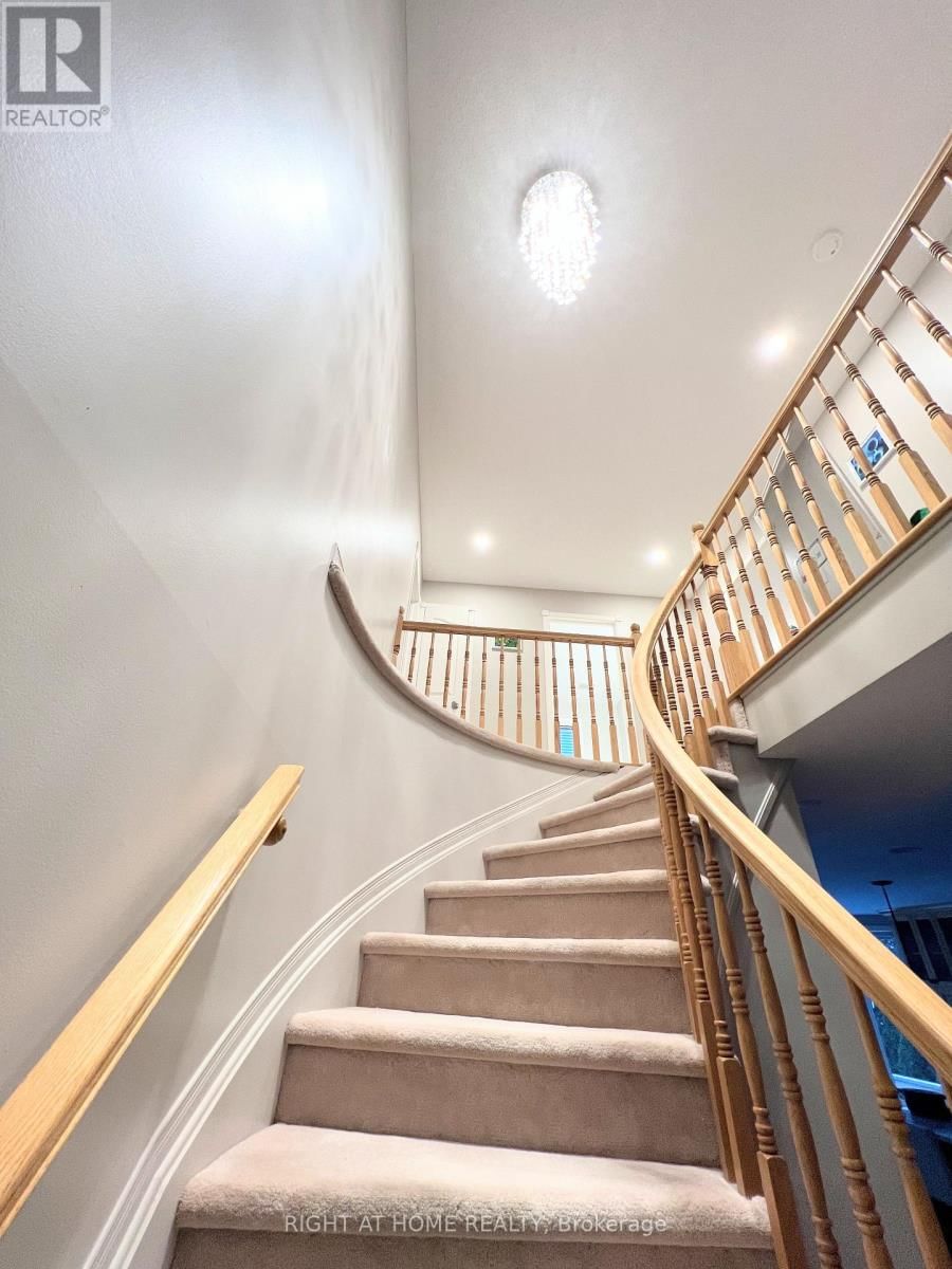 31 FORILLON CRESCENT Image 24