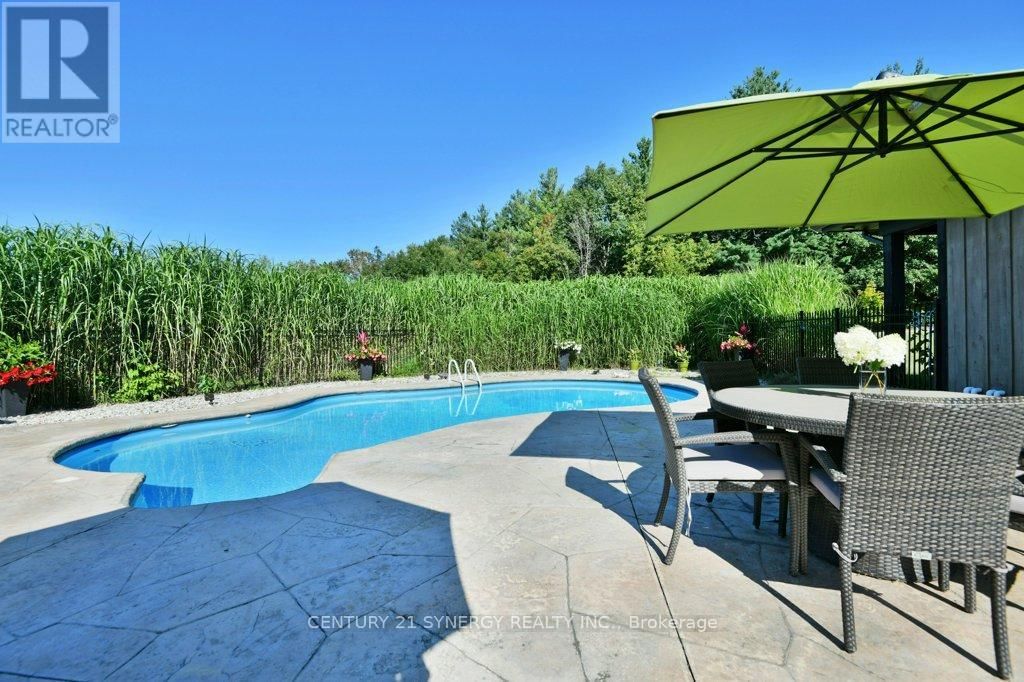 4370 CARP ROAD Image 43