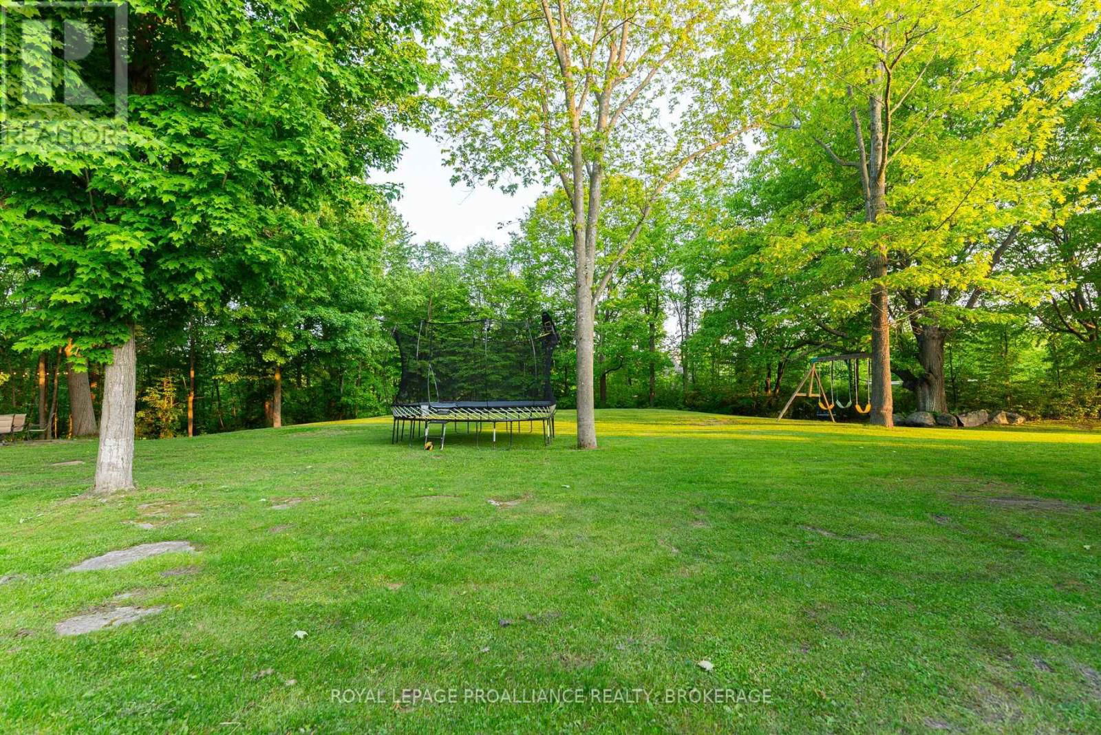 10 OWEN AVENUE Image 49
