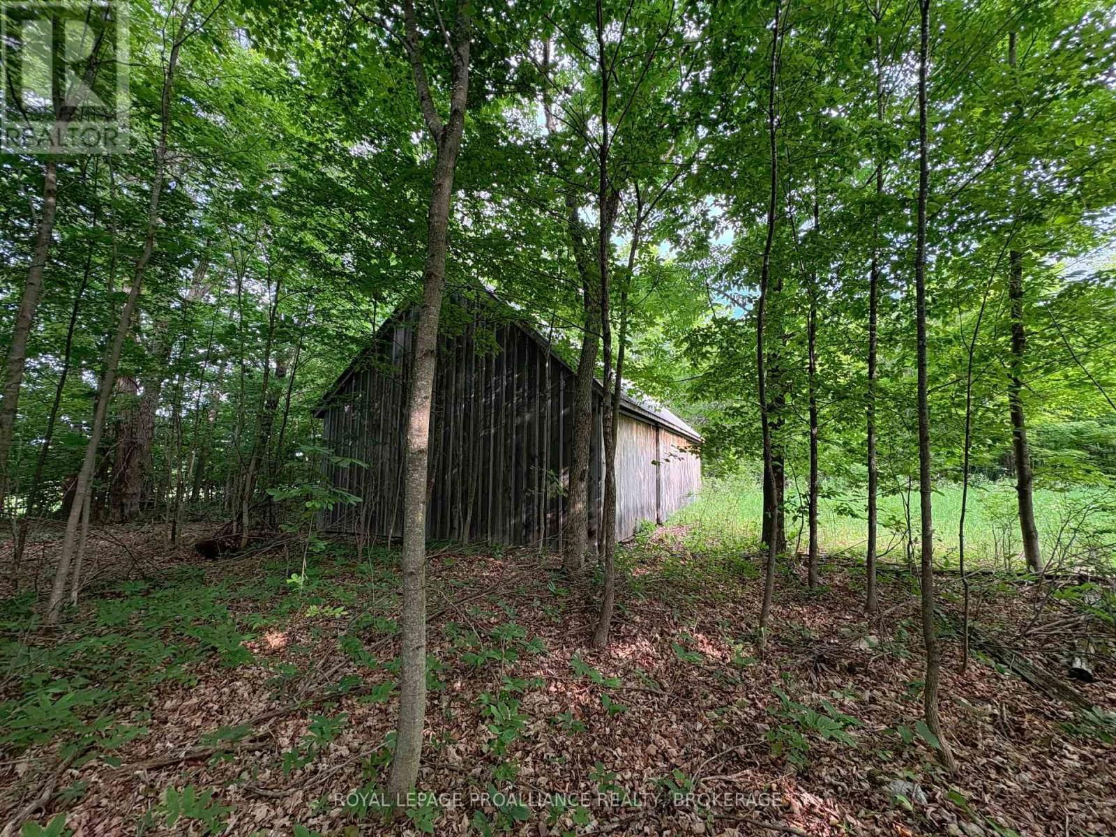 Primary Property View