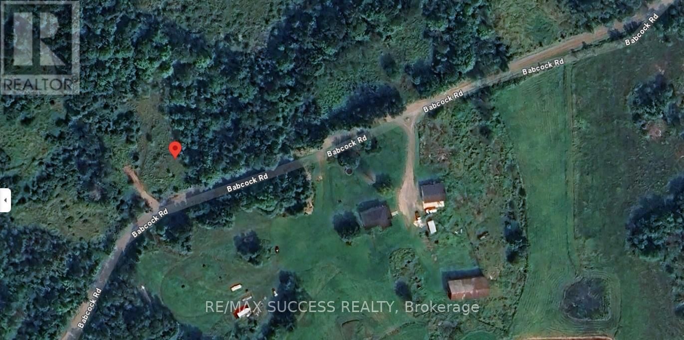 2248 BABCOCK ROAD Image 10