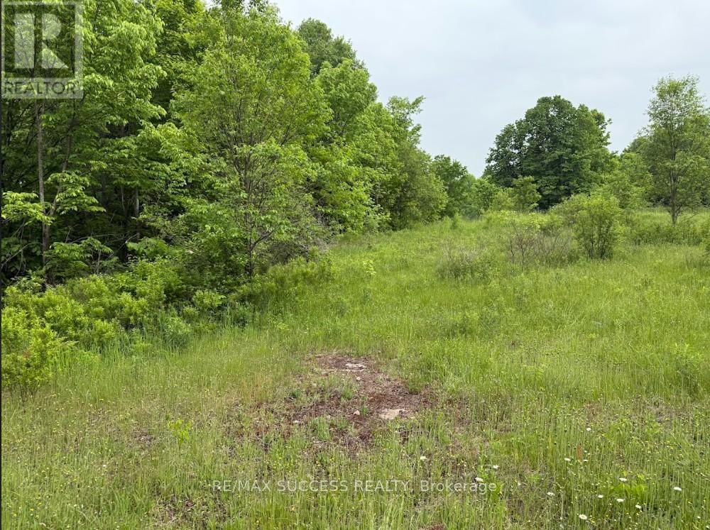 2248 BABCOCK ROAD Image 3