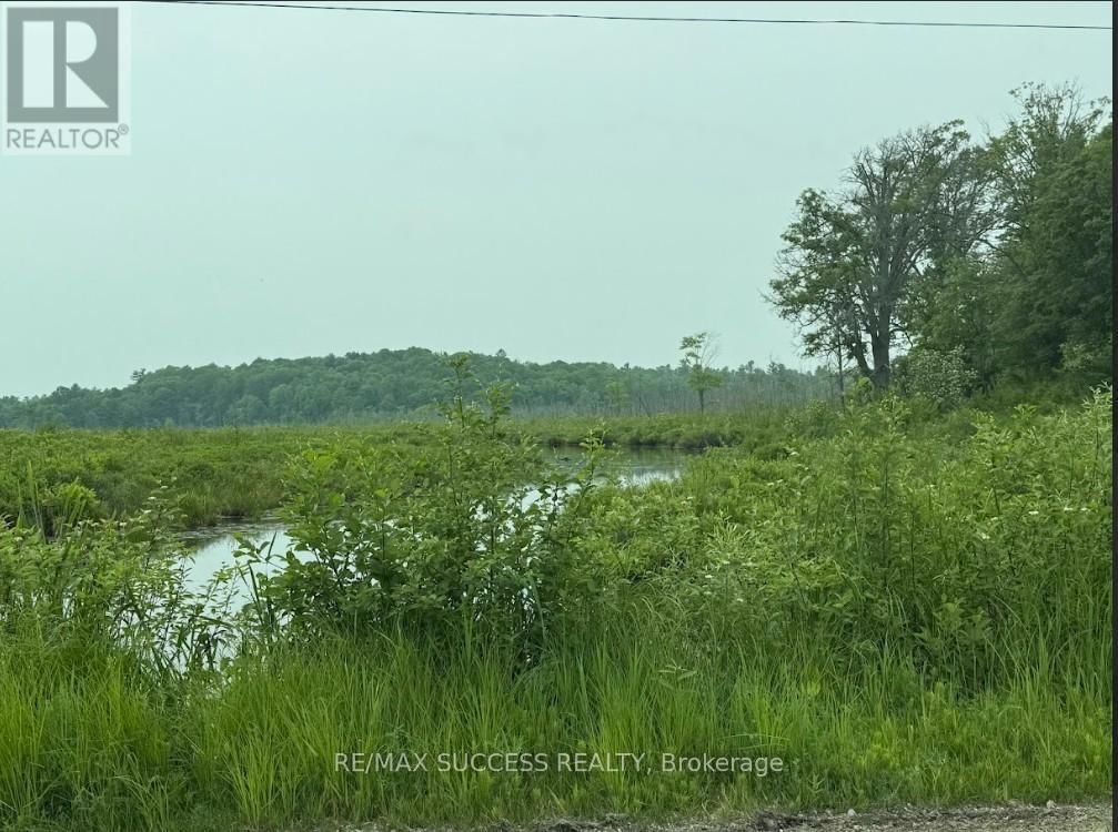 2248 BABCOCK ROAD Image 8