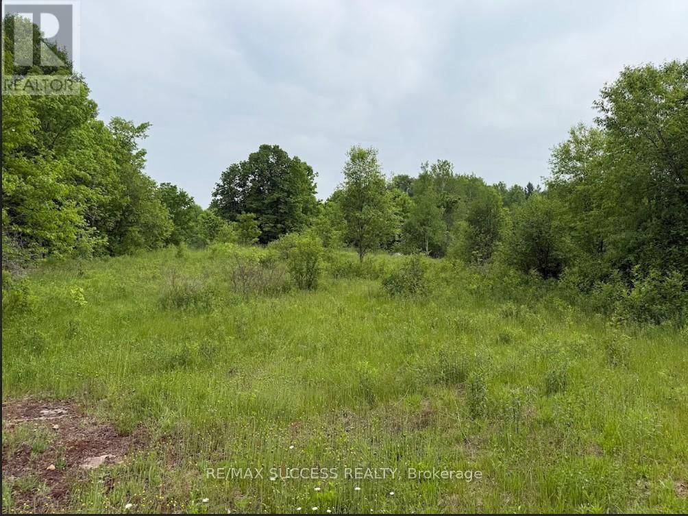 2248 BABCOCK ROAD Image 9