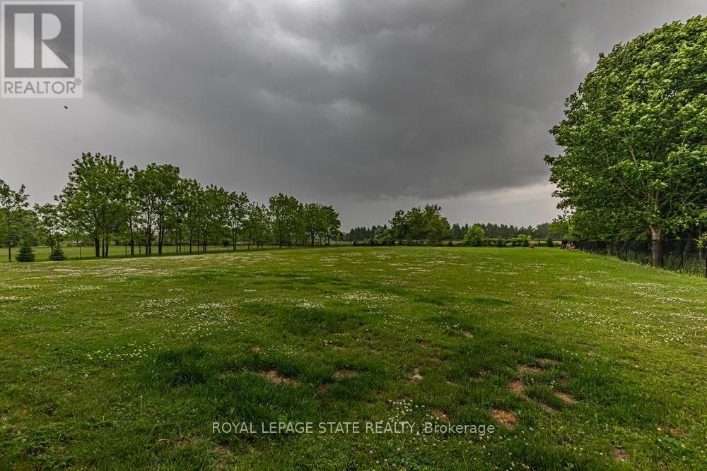 187 SUNNYRIDGE ROAD Image 45