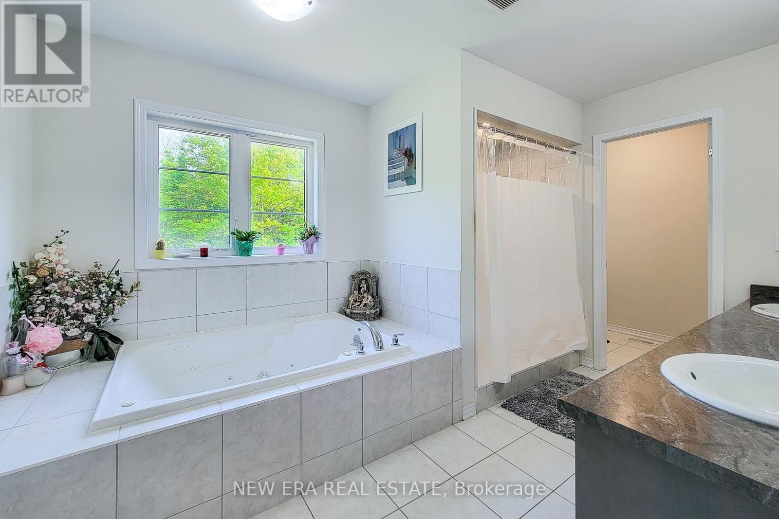 65 CACTUS CRESCENT Image 26