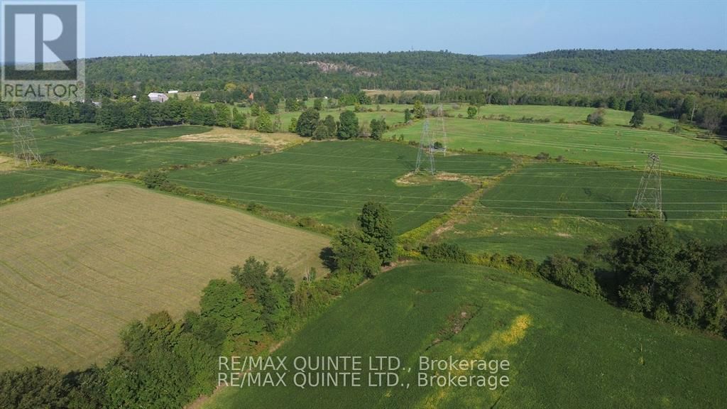 184 PALMER ROAD Image 14