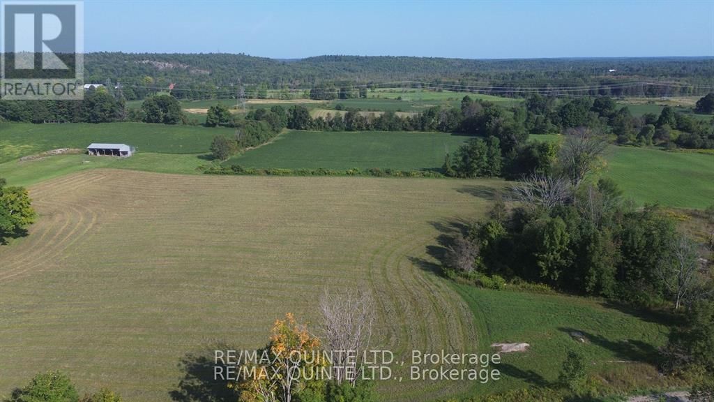 184 PALMER ROAD Image 6