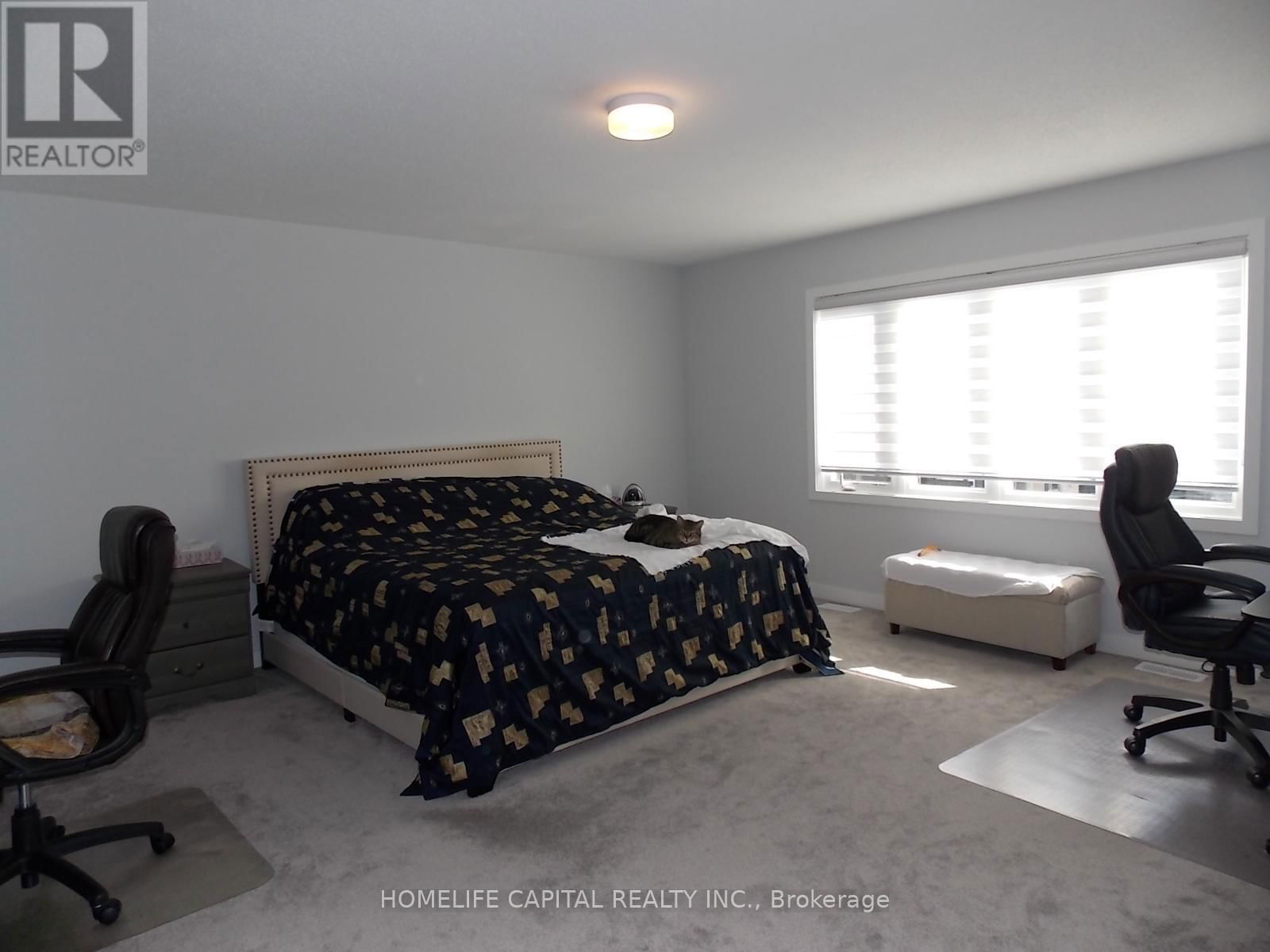838 CROSSGATE STREET Image 19