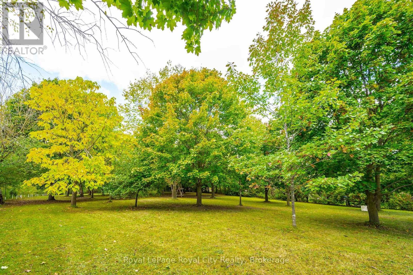 23A GILKISON STREET Image 5