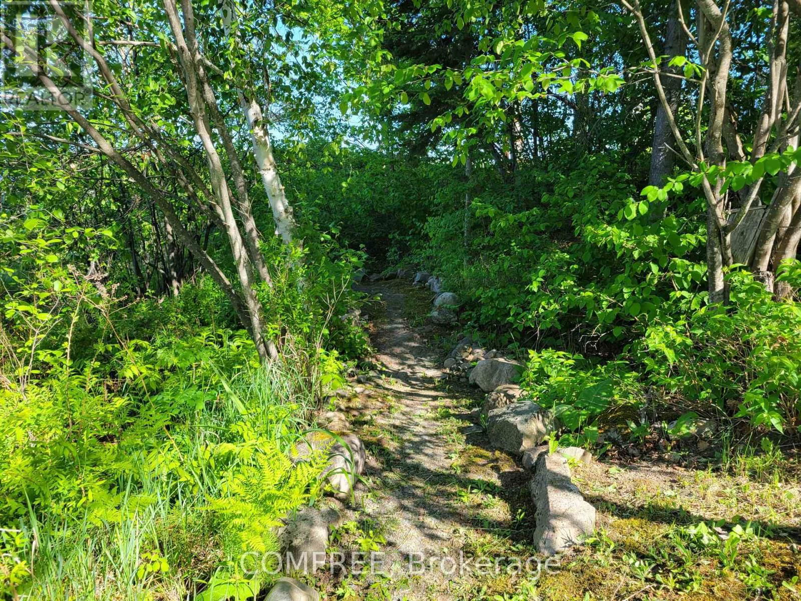 776 DEER LAKE ROAD Image 17