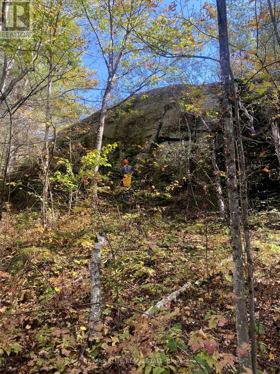 1322 BOOMHAUER ROAD Image 15