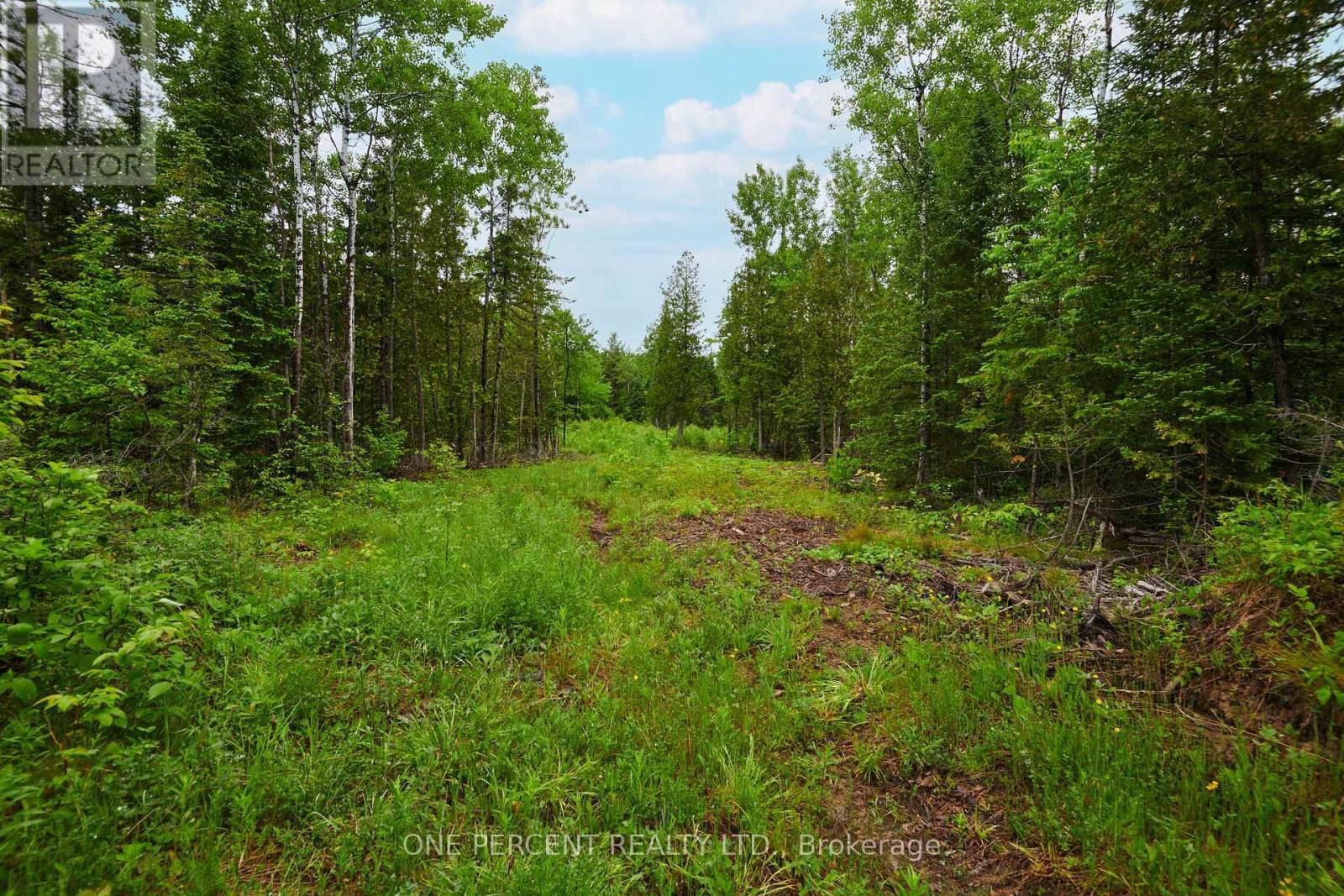 622 KINGS CREEK ROAD Image 4