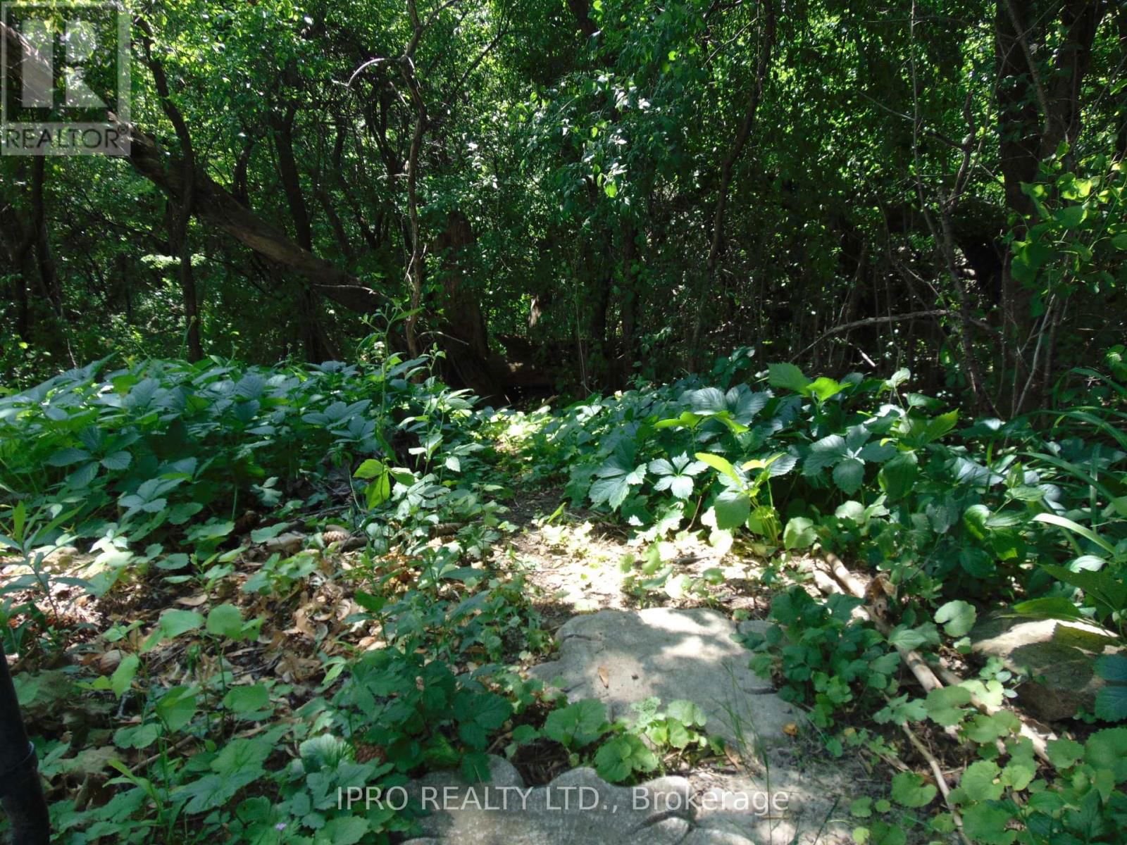 64 HAHN AVENUE Image 32