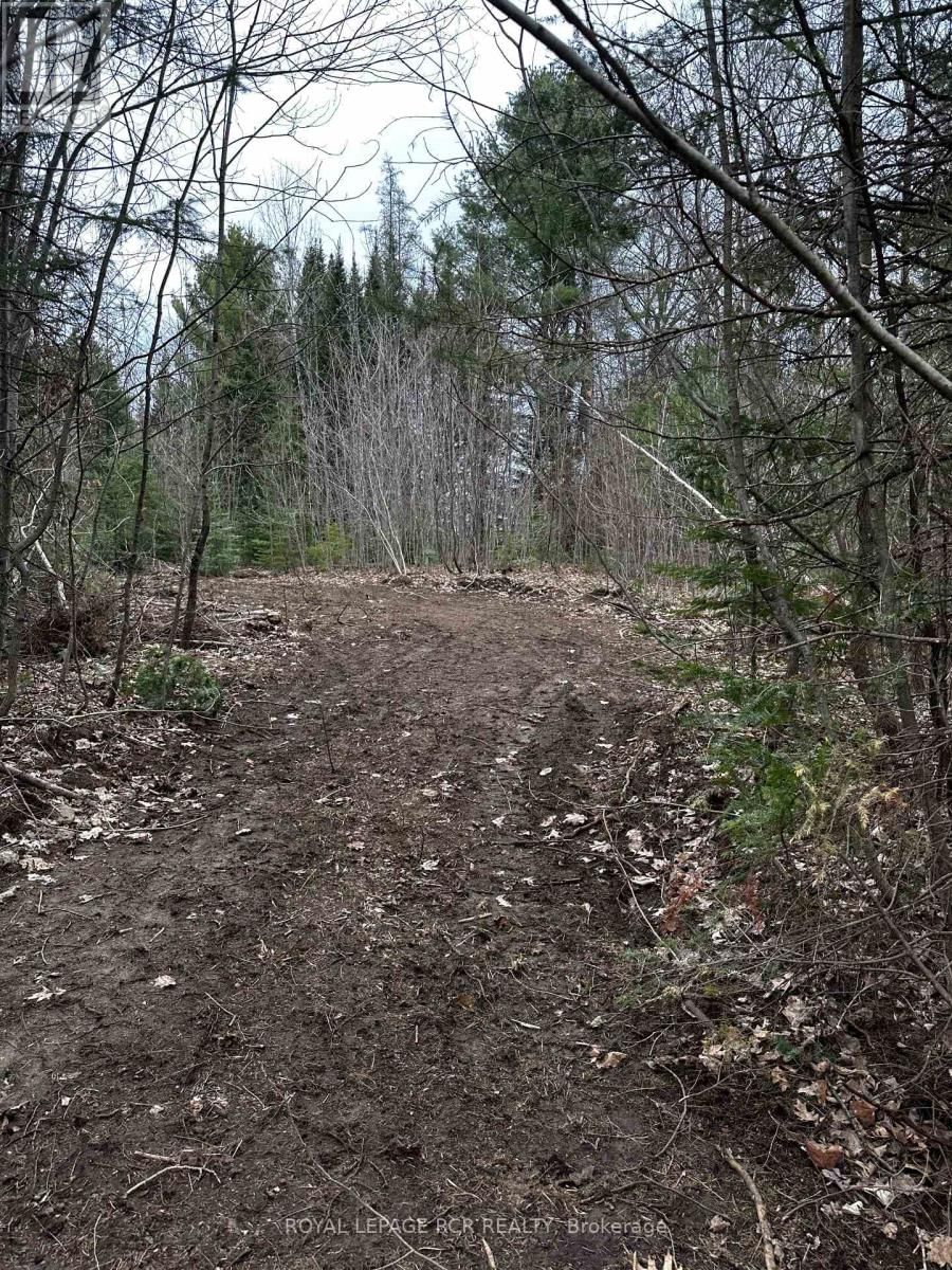 1527 MADILL ROAD Image 10