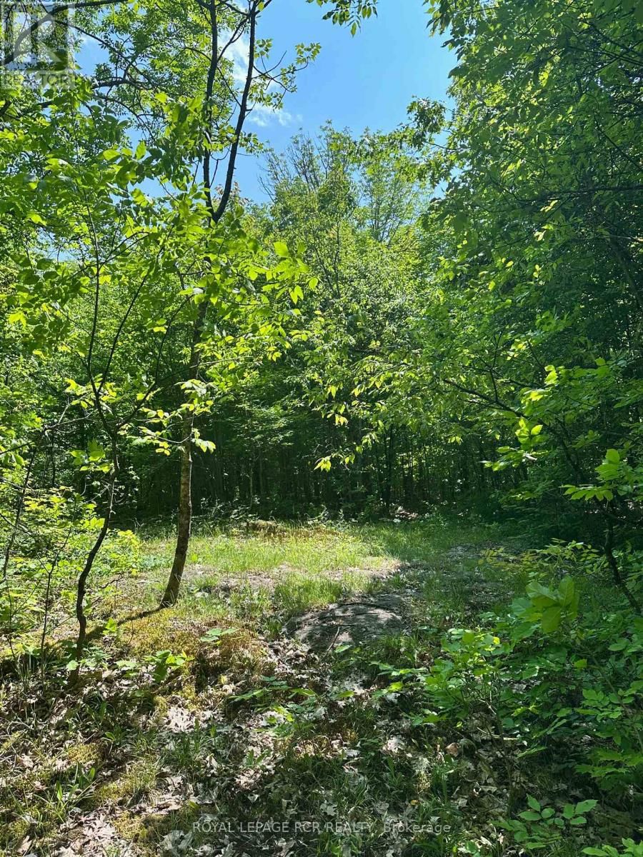 1527 MADILL ROAD Image 13