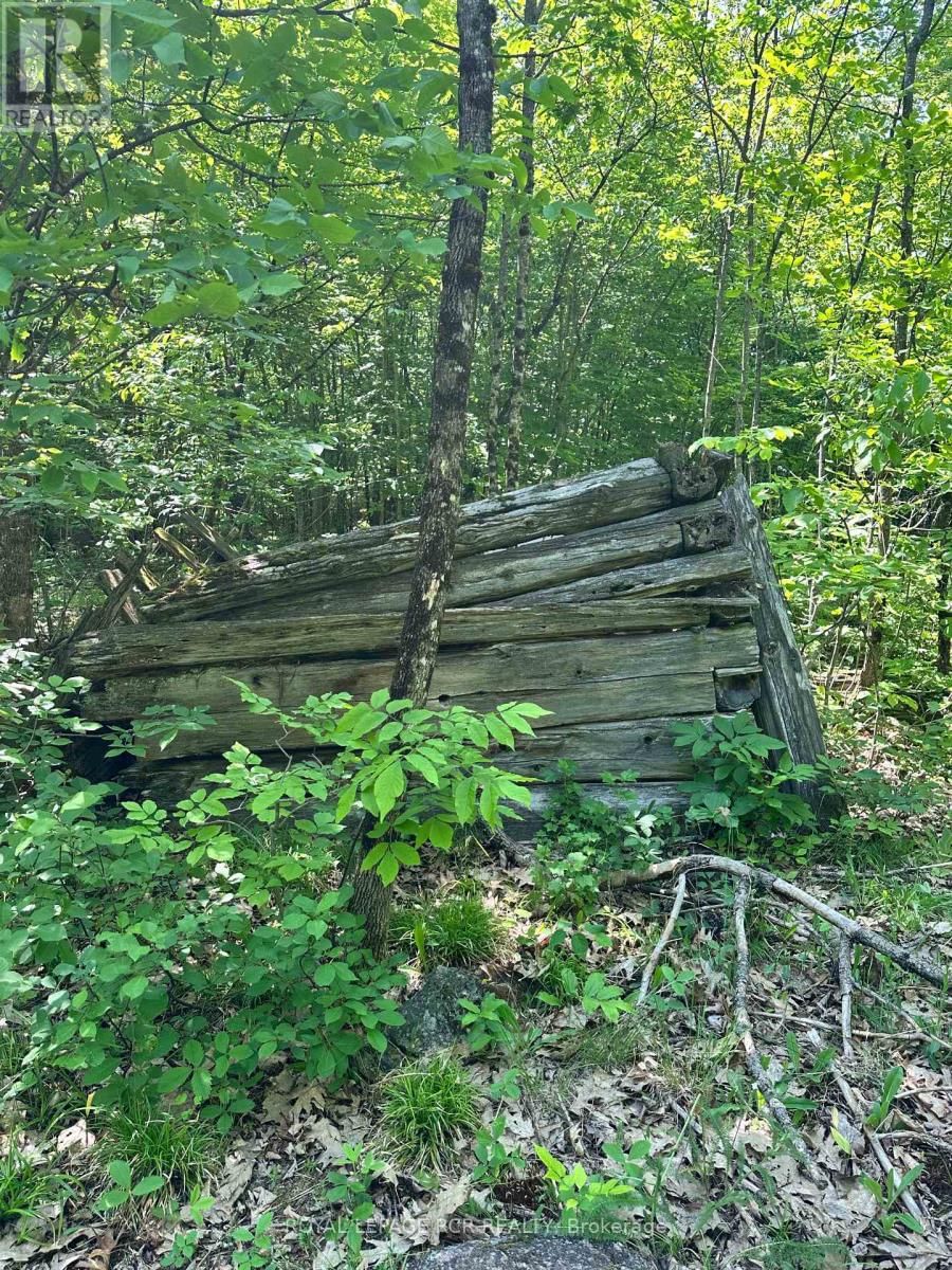 1527 MADILL ROAD Image 14
