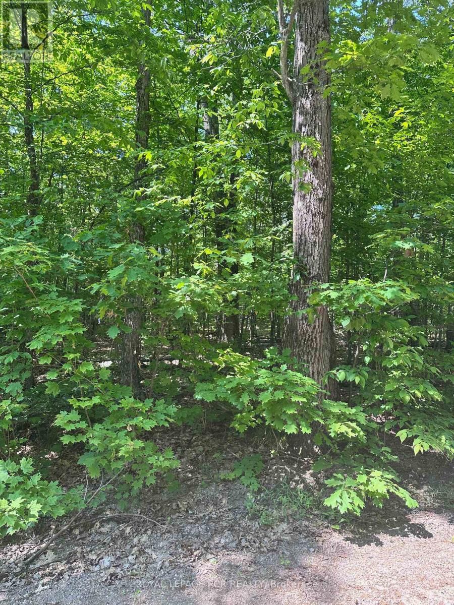 1527 MADILL ROAD Image 15