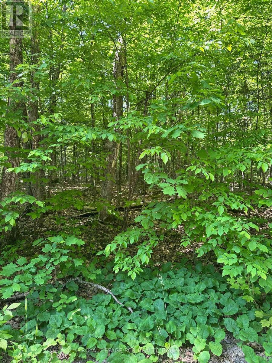 1527 MADILL ROAD Image 16