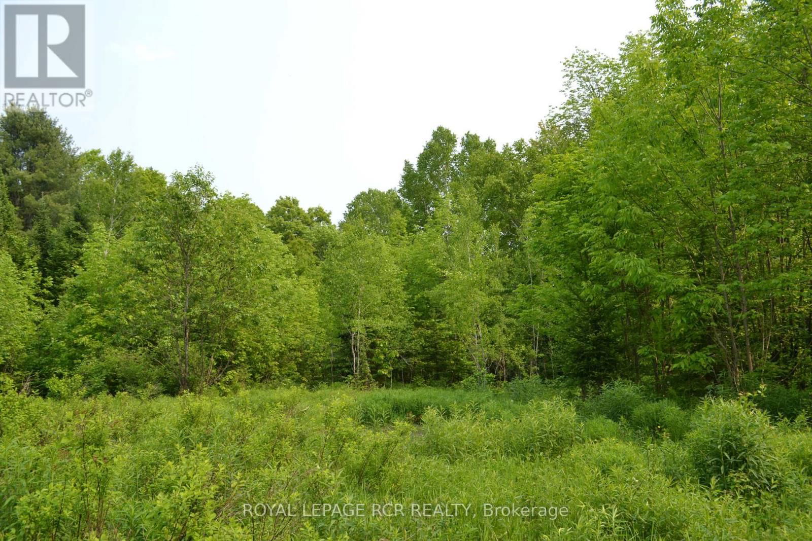 1527 MADILL ROAD Image 3