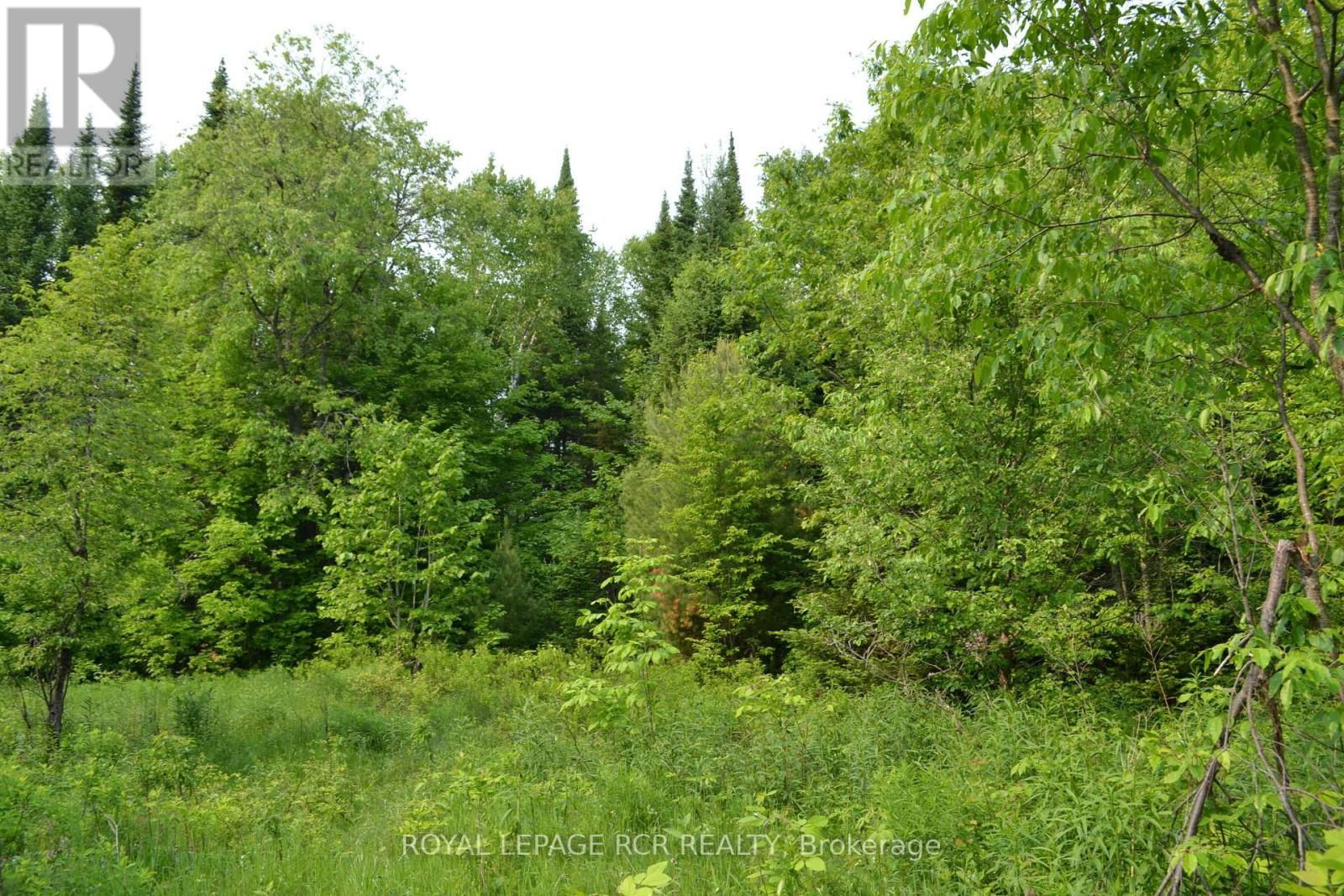 1527 MADILL ROAD Image 6