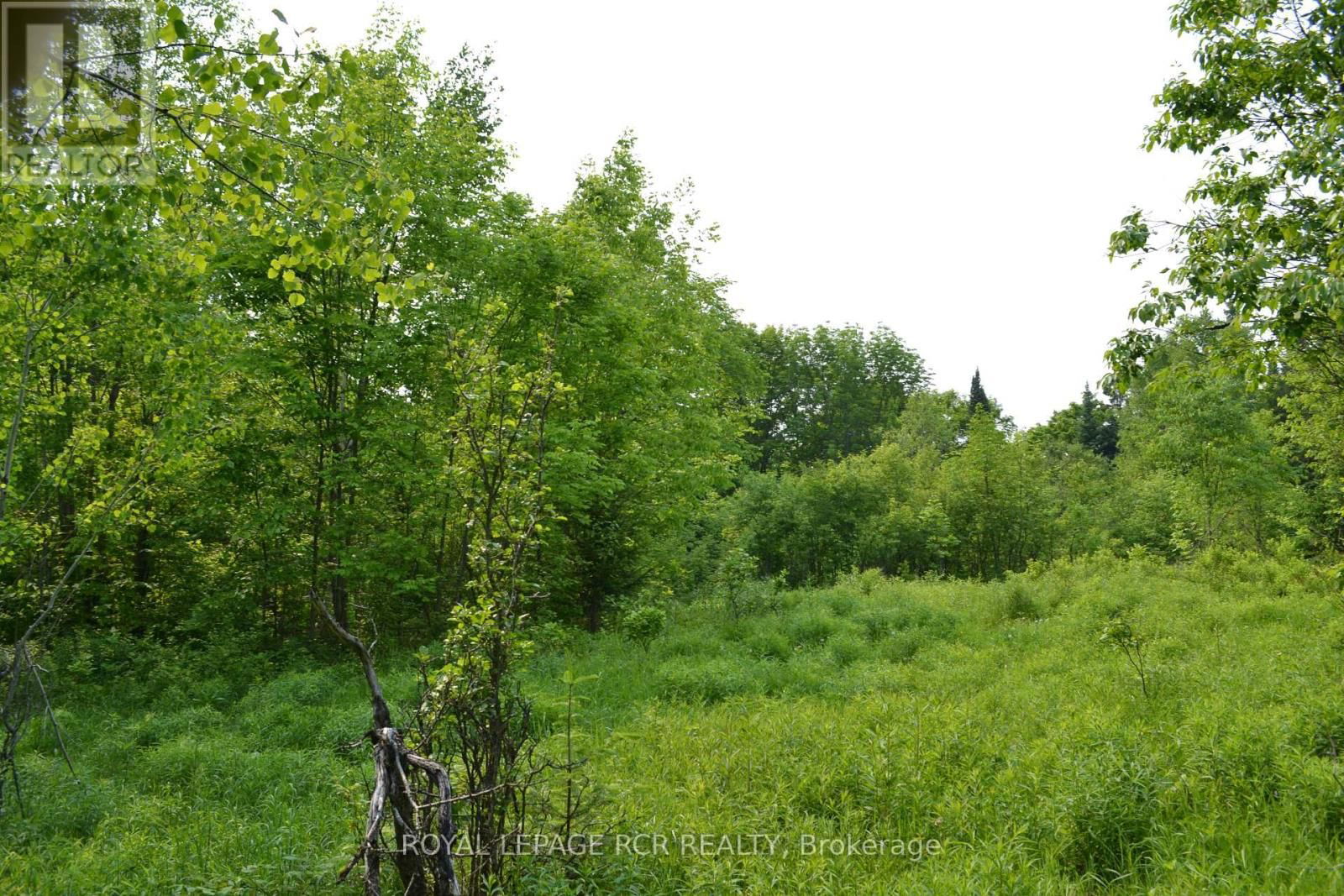 1527 MADILL ROAD Image 7