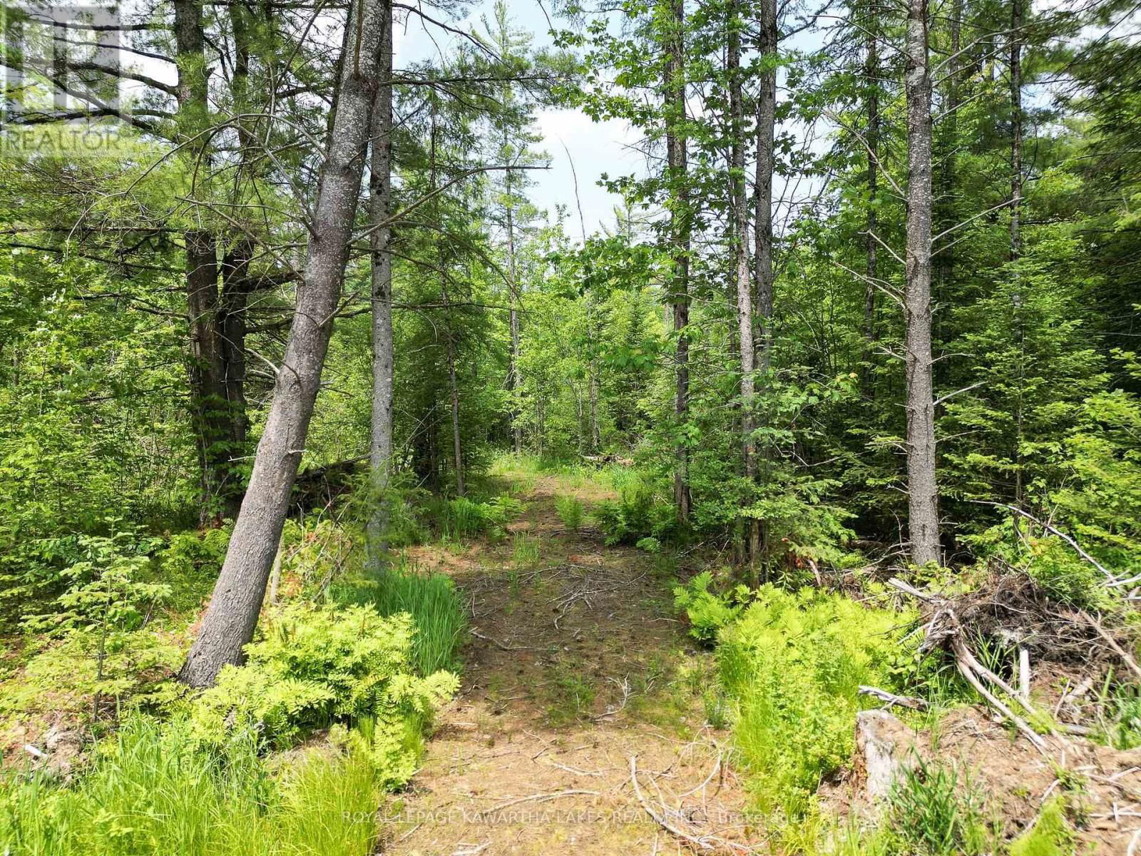 Lot 8 WATSON DRIVE Image 11