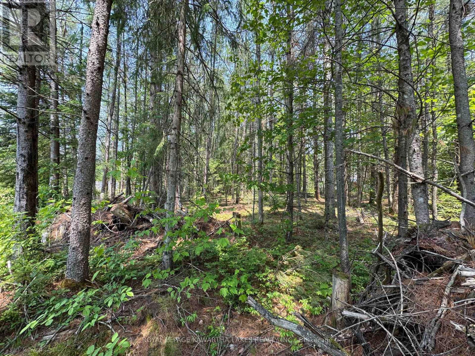 Lot 8 WATSON DRIVE Image 16