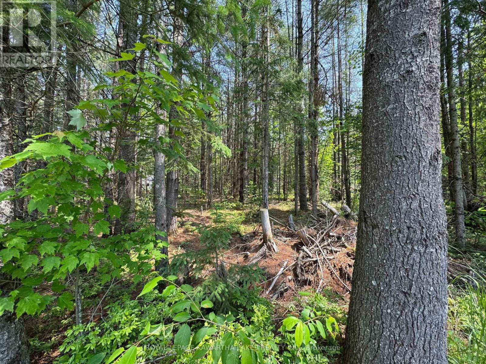 Lot 8 WATSON DRIVE Image 17