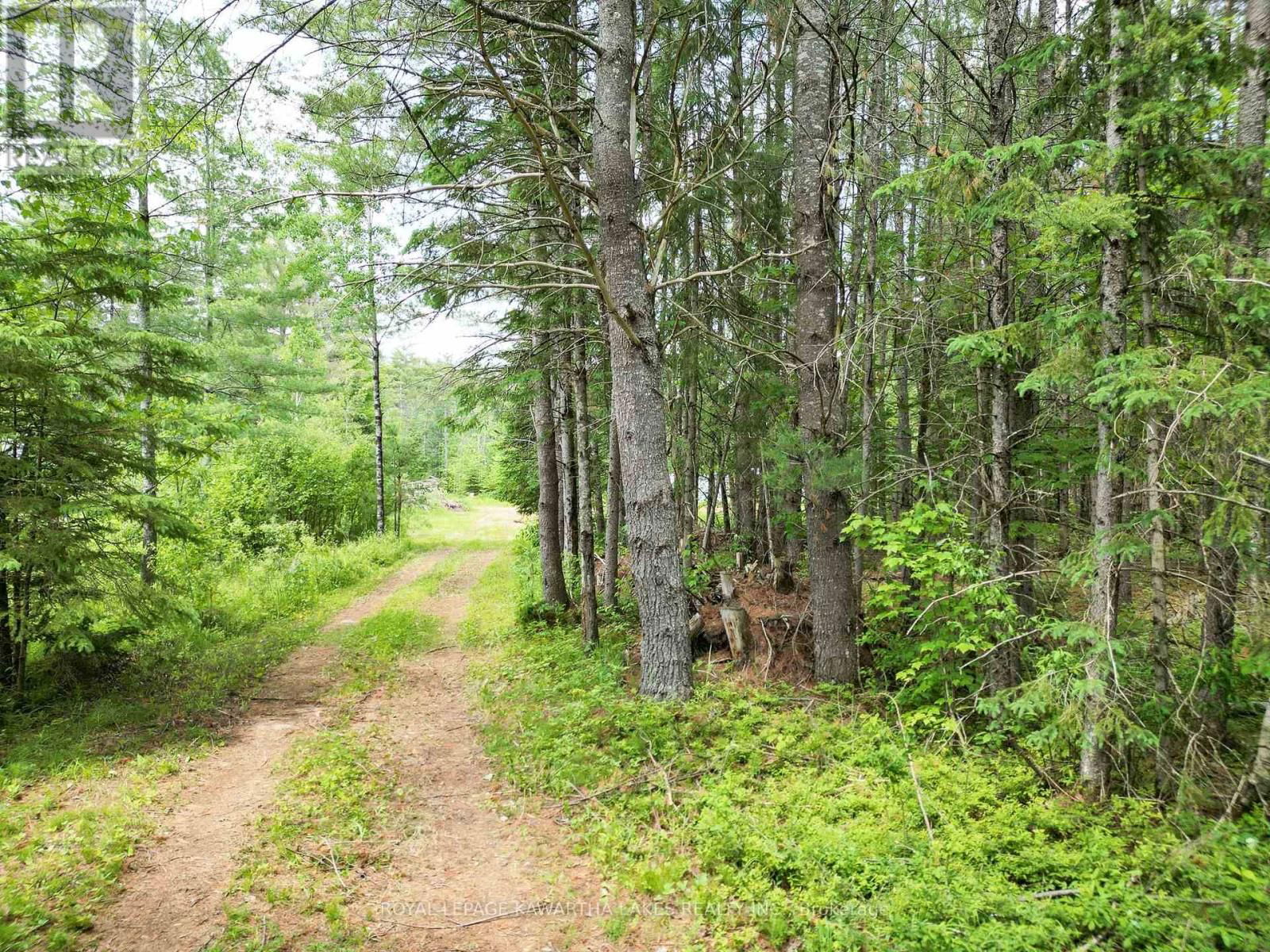 Lot 8 WATSON DRIVE Image 7