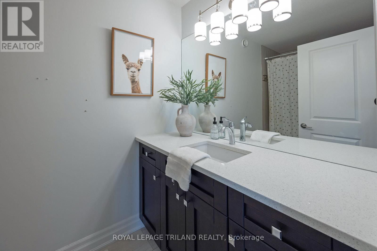 1044 MEDWAY PARK DRIVE Image 29