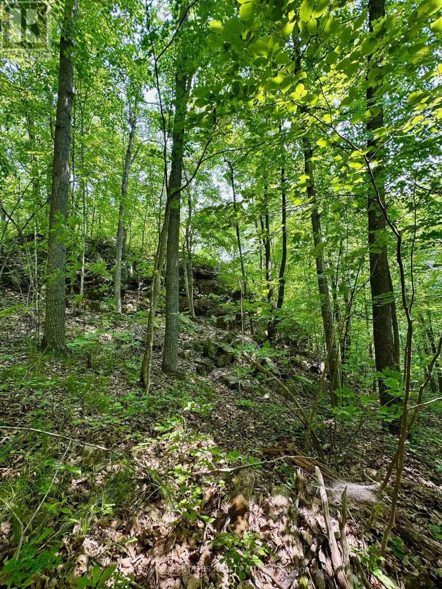 00 CROW LAKE ROAD Image 13