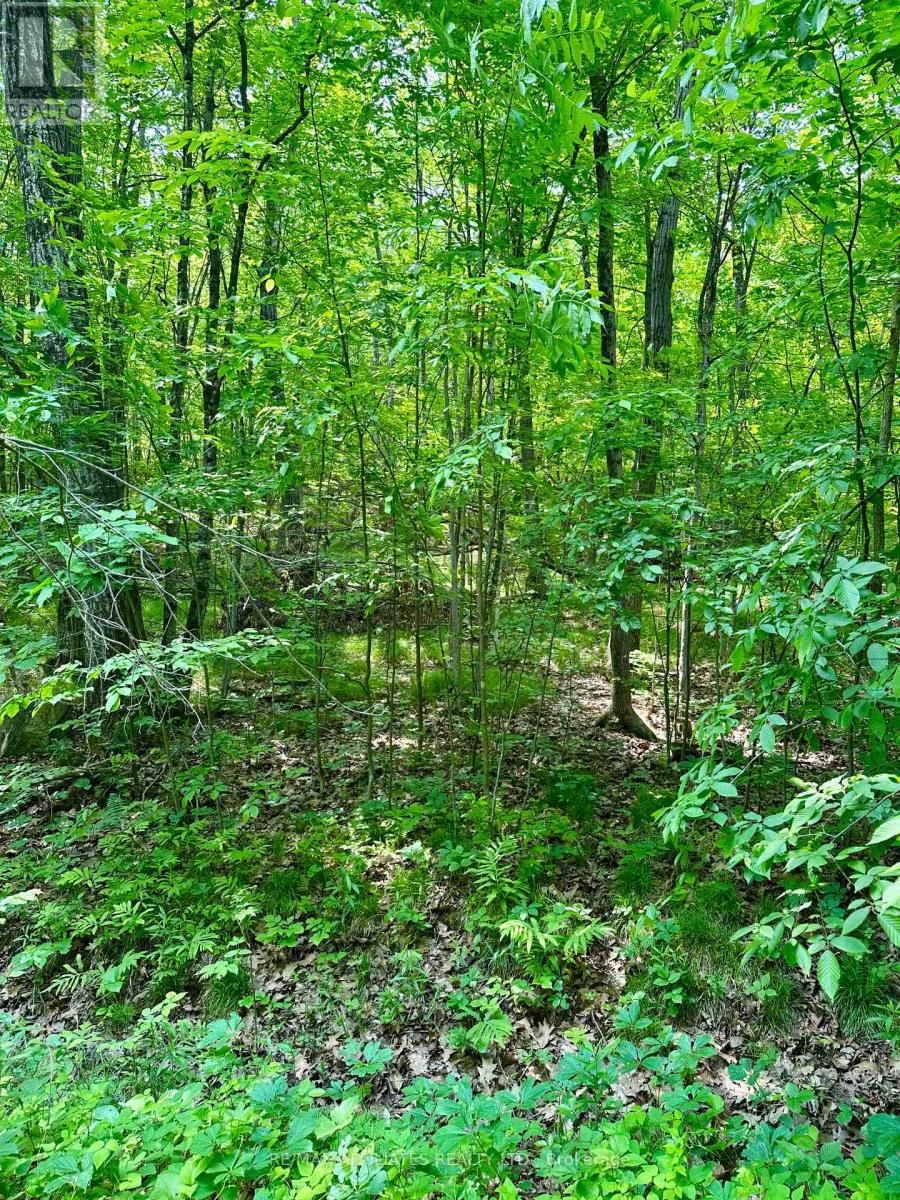 00 CROW LAKE ROAD Image 15