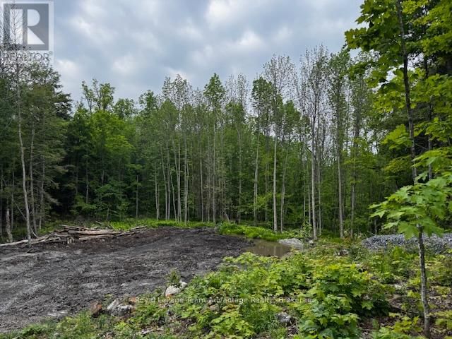 40 SUNNYSHORE PARK DRIVE Image 3