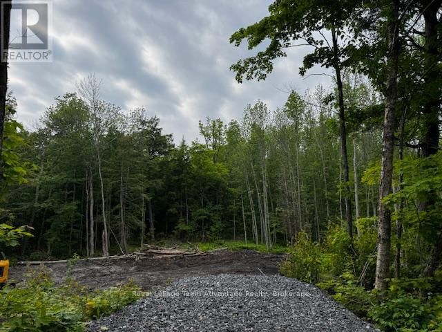 40 SUNNYSHORE PARK DRIVE Image 4