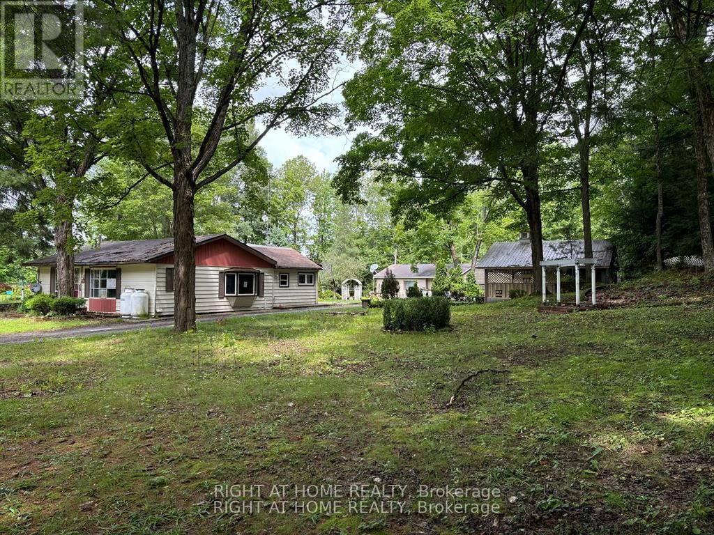 Primary Property View