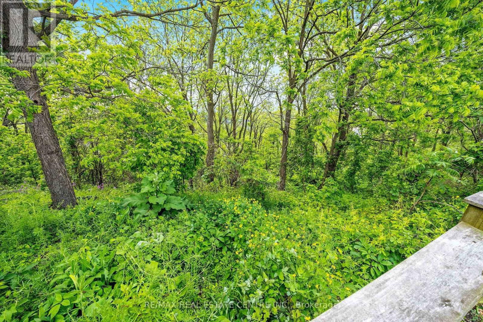 237 RIDGE TOP CRESCENT Image 39