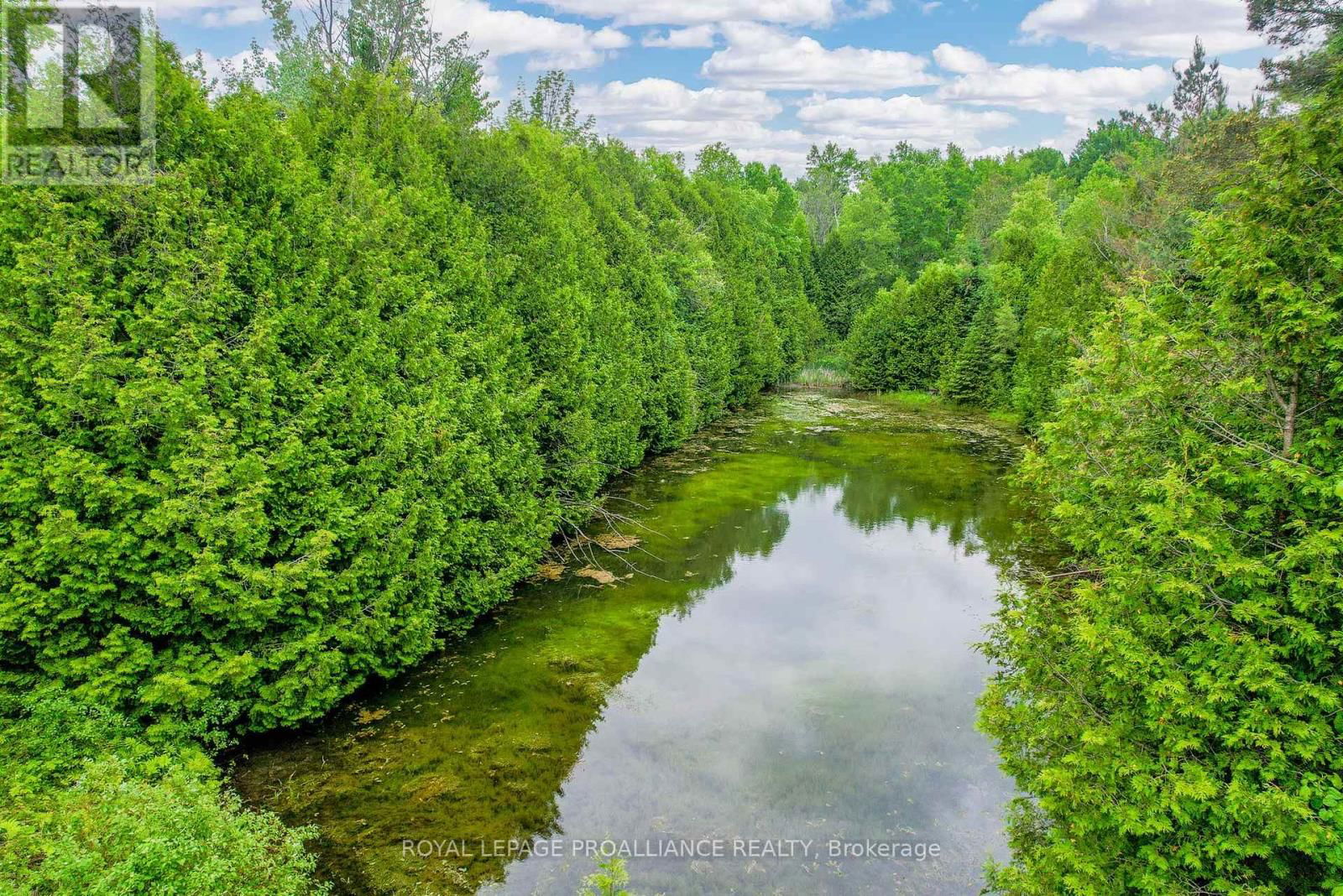 166 DINGMAN ROAD Image 50